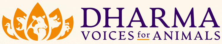 DVA Dharma Voices for Animals Logo